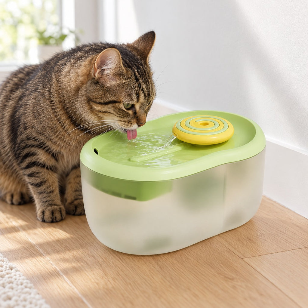 Tabby cat drinking from the green automatic pet water fountain