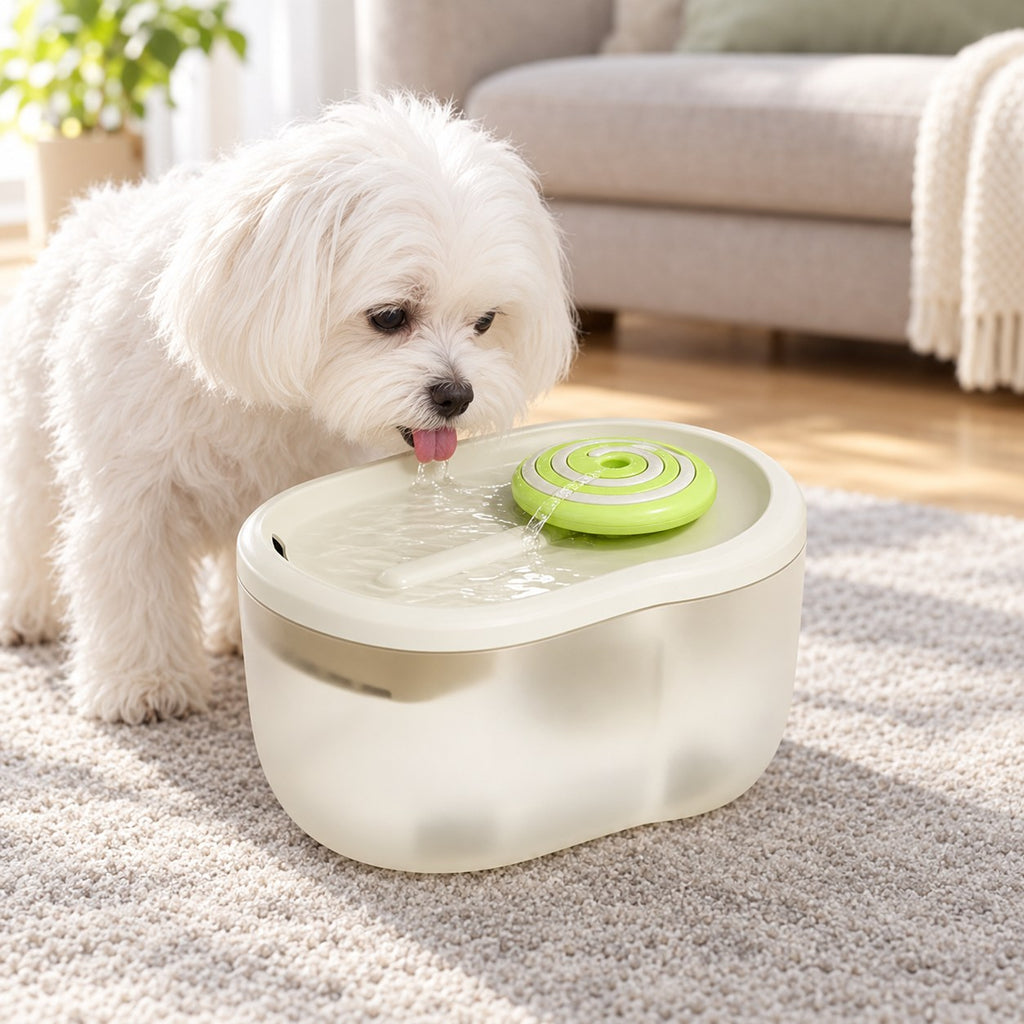 Small white dog drinking from the white automatic pet water fountain